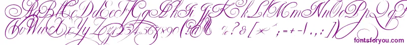 EkaterinaVelikayaTwo-Schriftart – Violette Schriften auf weißem Hintergrund