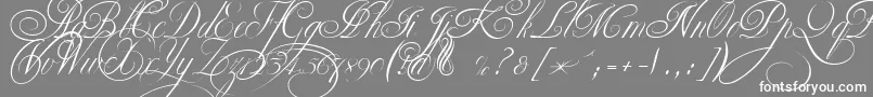 フォントEkaterinaVelikayaTwo – 灰色の背景に白い文字
