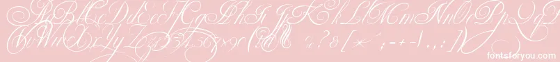 Czcionka EkaterinaVelikayaTwo – białe czcionki na różowym tle