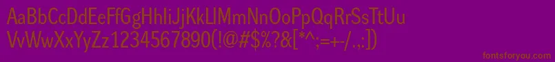 Dynagroteskrm Font – Brown Fonts on Purple Background