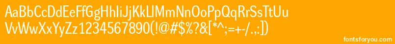 Dynagroteskrm Font – White Fonts on Orange Background