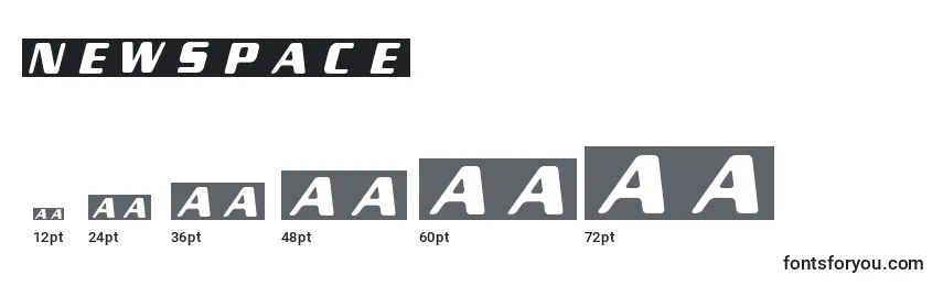 NewSpace Font Sizes