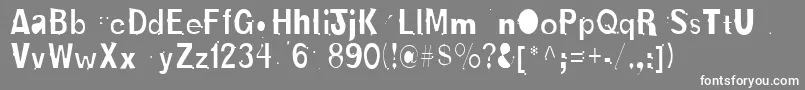 フォントNewboldBold – 灰色の背景に白い文字