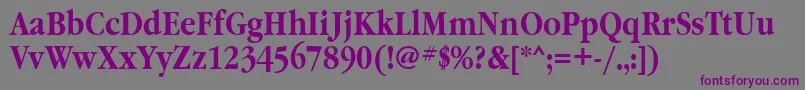 GaramondnarrowbttBold Font – Purple Fonts on Gray Background