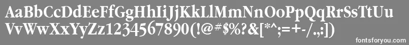 GaramondnarrowbttBold-Schriftart – Weiße Schriften auf grauem Hintergrund