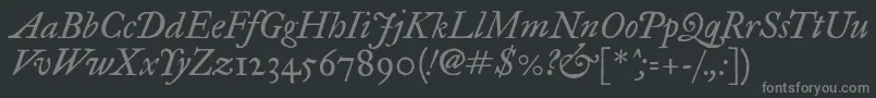 Police Imfegpit28p – polices grises sur fond noir