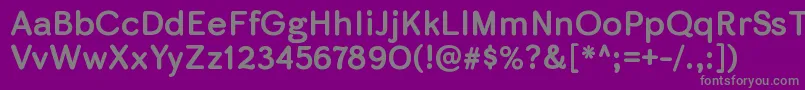 SkirtrgBold-Schriftart – Graue Schriften auf violettem Hintergrund