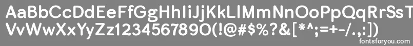 SkirtrgBold Font – White Fonts on Gray Background