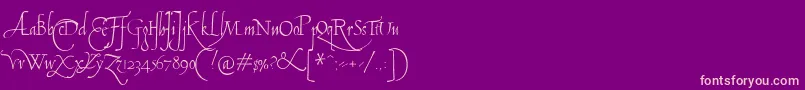 Tagliente Font – Pink Fonts on Purple Background