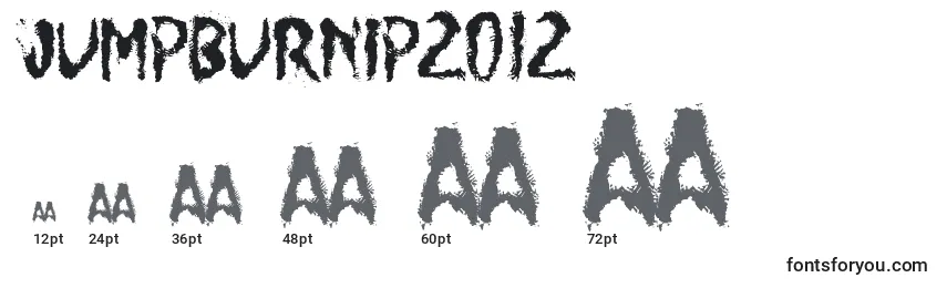 Размеры шрифта JumpBurnIp2012