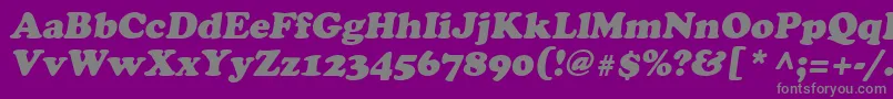 フォントAgcrowo – 紫の背景に灰色の文字