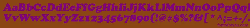 Agcrowo Font – Purple Fonts on Brown Background