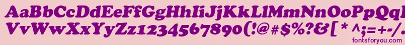 Agcrowo Font – Purple Fonts on Pink Background
