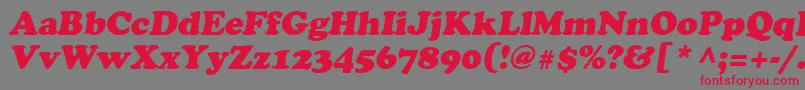 Шрифт Agcrowo – красные шрифты на сером фоне