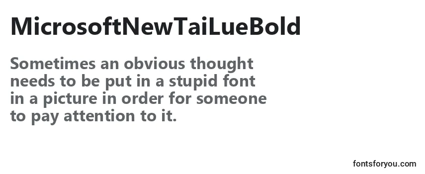 MicrosoftNewTaiLueBold Font