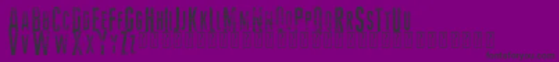 VtksMoney2 Font – Black Fonts on Purple Background