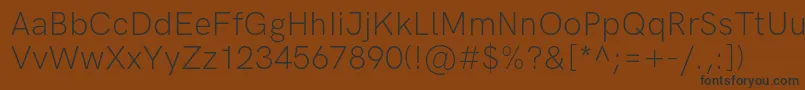 HkgroteskLight Font – Black Fonts on Brown Background