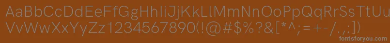 Подробнее о шрифте HkgroteskLight Шрифт HkgroteskLight – серые шрифты на коричневом фоне