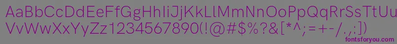 HkgroteskLight Font – Purple Fonts on Gray Background