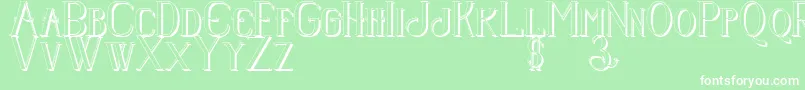 Senandungmalamboldshadow Font – White Fonts on Green Background