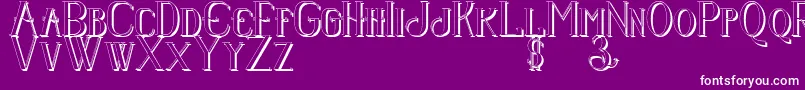 Senandungmalamboldshadow Font – White Fonts on Purple Background