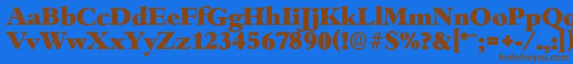 BambergserialHeavyRegular Font – Brown Fonts on Blue Background