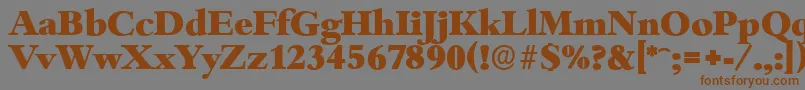 BambergserialHeavyRegular Font – Brown Fonts on Gray Background