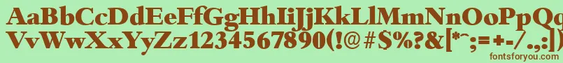 BambergserialHeavyRegular Font – Brown Fonts on Green Background