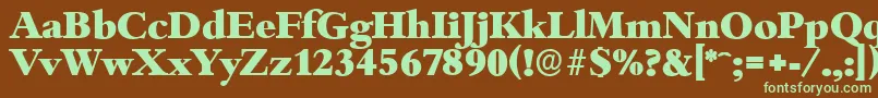 BambergserialHeavyRegular Font – Green Fonts on Brown Background