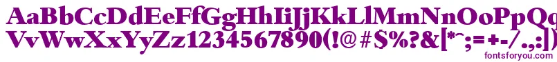 BambergserialHeavyRegular Font – Purple Fonts on White Background