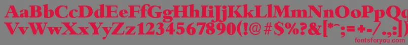 BambergserialHeavyRegular Font – Red Fonts on Gray Background