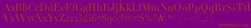 LinotypeDidotHeadlineOldstyleFigures Font – Brown Fonts on Purple Background