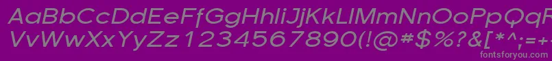 フォントSfflorencesansexpItalic – 紫の背景に灰色の文字