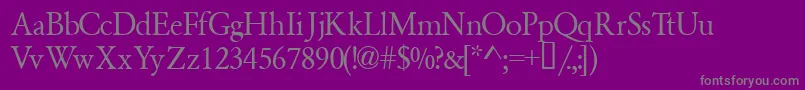 Garamondsemiexpandedssk Font – Gray Fonts on Purple Background