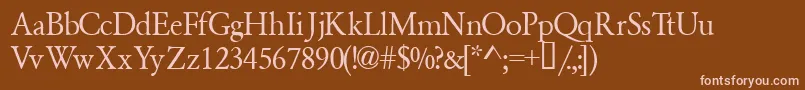 Garamondsemiexpandedssk Font – Pink Fonts on Brown Background