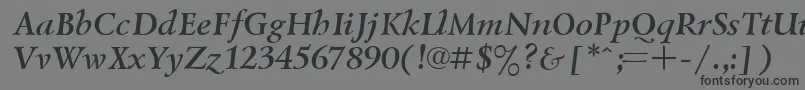 Czcionka UkrainianlazurskiBolditalic – czarne czcionki na szarym tle