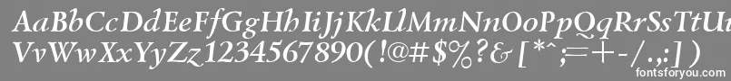 フォントUkrainianlazurskiBolditalic – 灰色の背景に白い文字