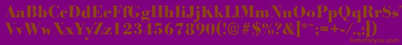 Czcionka BodoniantiqueXboldRegular – brązowe czcionki na fioletowym tle