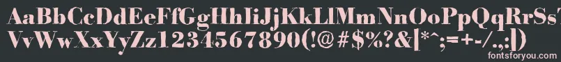 フォントBodoniantiqueXboldRegular – 黒い背景にピンクのフォント