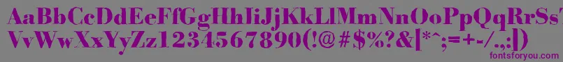 フォントBodoniantiqueXboldRegular – 紫色のフォント、灰色の背景