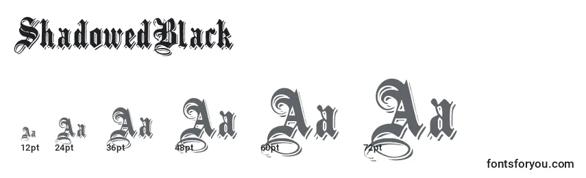 ShadowedBlack Font Sizes