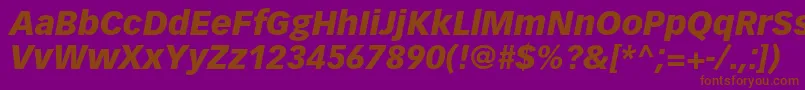 VectoraltstdBlackitalic Font – Brown Fonts on Purple Background