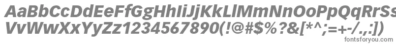 VectoraltstdBlackitalic-Schriftart – Graue Schriften auf weißem Hintergrund