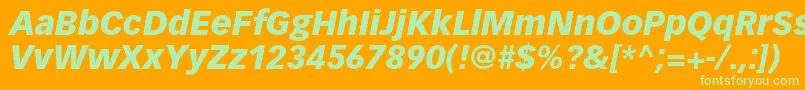 VectoraltstdBlackitalic Font – Green Fonts on Orange Background