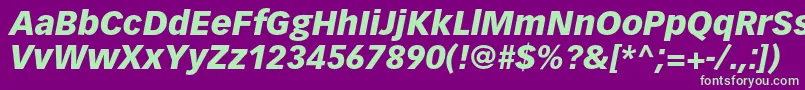 VectoraltstdBlackitalic Font – Green Fonts on Purple Background
