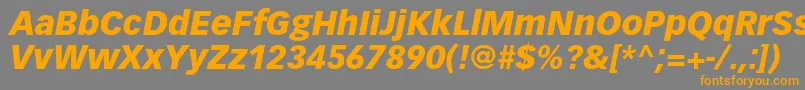 VectoraltstdBlackitalic Font – Orange Fonts on Gray Background