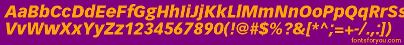 VectoraltstdBlackitalic Font – Orange Fonts on Purple Background