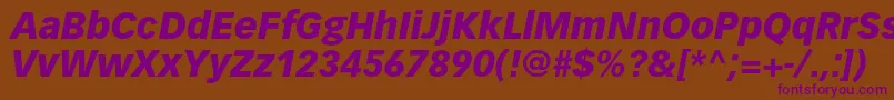 VectoraltstdBlackitalic Font – Purple Fonts on Brown Background