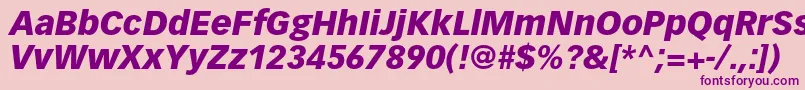 VectoraltstdBlackitalic Font – Purple Fonts on Pink Background