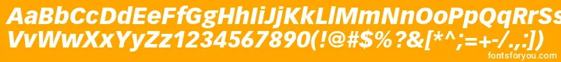 VectoraltstdBlackitalic Font – White Fonts on Orange Background